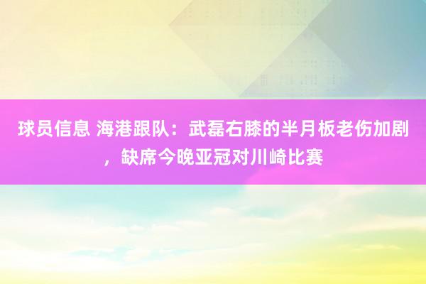 球员信息 海港跟队：武磊右膝的半月板老伤加剧，缺席今晚亚冠对川崎比赛