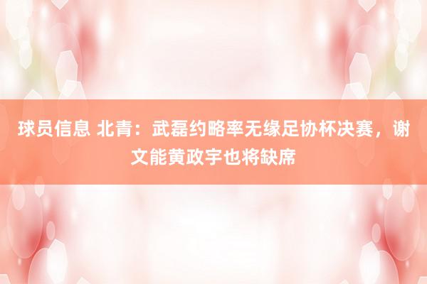 球员信息 北青：武磊约略率无缘足协杯决赛，谢文能黄政宇也将缺席