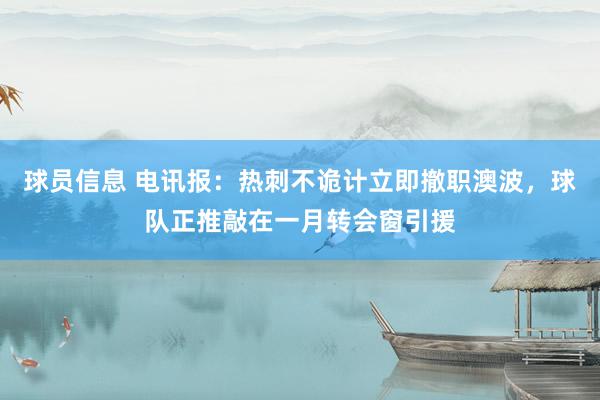 球员信息 电讯报：热刺不诡计立即撤职澳波，球队正推敲在一月转会窗引援