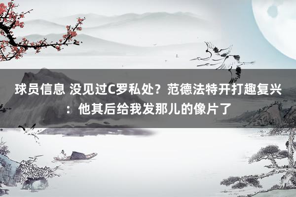 球员信息 没见过C罗私处？范德法特开打趣复兴：他其后给我发那儿的像片了