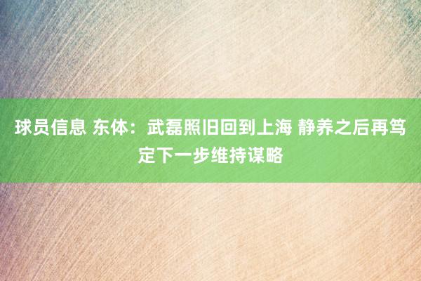 球员信息 东体：武磊照旧回到上海 静养之后再笃定下一步维持谋略