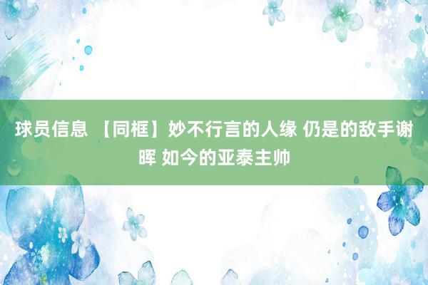 球员信息 【同框】妙不行言的人缘 仍是的敌手谢晖 如今的亚泰主帅