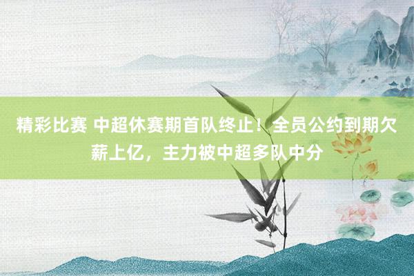 精彩比赛 中超休赛期首队终止！全员公约到期欠薪上亿，主力被中超多队中分